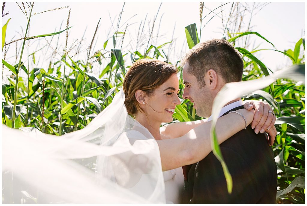 bride and groom in field of corn cobs